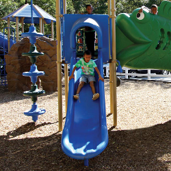 vestibular proprioceptive